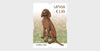 Latvia - 2024 Pets - set of 3 (MNH)