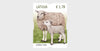 Latvia - 2024 Pets - set of 3 (MNH)