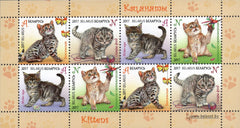 #1029a Belarus - Children's Philately: Kittens S/S (MNH)