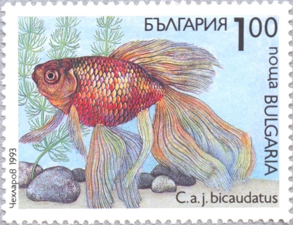 bulgarian wood carving boxes fish 3766-3771 Bulgaria - Fish (MNH) – Eastern Europe Postage Stamps
