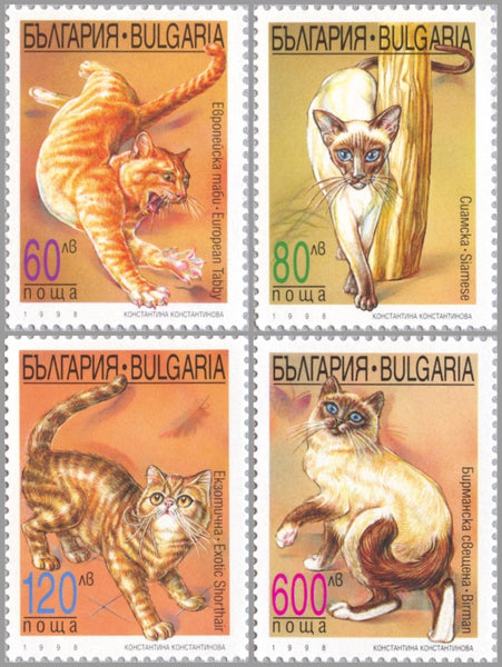 Furry Cat Stamp by Recollections™