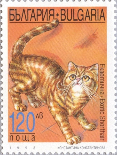 1880-1887 Hungary - Cats (MNH) – Hungaria Stamp Exchange