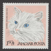 #1880-1887 Hungary - Cats (MNH)