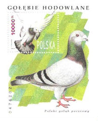 #3216 Poland - Birds S/S (MNH)