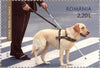Romania - 2021 Dog, Man's Best Friend, Set of 4 (MNH)