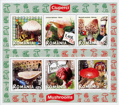 #5017a Romania - 2008 Edible and Poisonous Mushrooms M/S (MNH)