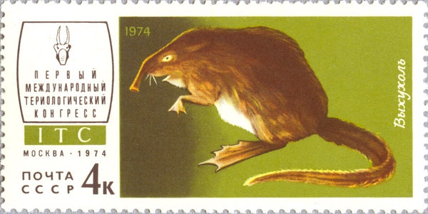 Russia 1999 Territories The Fötheation Stamp Set #729-733 – Unmounted Mint Never Hinged (MNH) - View #9