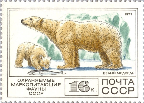 Russia-_4631_grande.jpg?v=