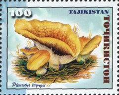 #151-152 Tajikistan - Mushrooms, Set of 2 (MNH)