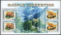 #153 Tajikistan - Mushrooms M/S (MNH)