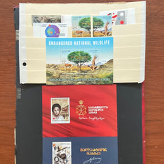 Georgia Year Sets