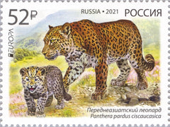 Russia (1992-Present) Modern
