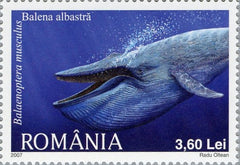 Romania (1992-Present) - Modern