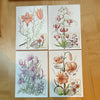 #2954-2960 Hungary - 1985 Indigenous Lilies, Maximum Cards (Used)