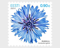 Estonia #945 - 2021 Cornflower (MNH)
