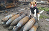 Ukraine - 2022 "Patron" - Minesweeper Dog -  Presentation Book