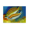 Ukraine - 2024 “EUROPA. Underwater Fauna and Flora” Cards (2)