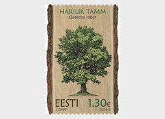 Estonia #1027 - 2024 - Estonian Forest Trees - The Pendunculate (English) Oak (MNH)