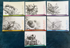 Ukraine - 2024 Insects - Postcards (7)