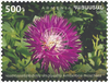 Armenia - 2025 Flora and Fauna of Armenia - set of 4 (MNH)