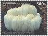 Armenia - 2025 Flora and Fauna of Armenia - set of 4 (MNH)