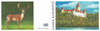 Czech Republic - The Beauties of Our Homeland: Konopiště Castle - booklet (MNH)