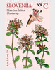 Slovenia - 2026 Flora - set of 3 (MNH)