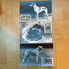 #2135-2141 Hungary - 1972 Dogs, Maximum Cards (Used)