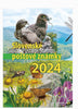 2024 Slovakia Year Set (MNH)
