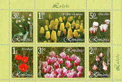 #4817b Romania - Tulip Varieties M/S (MNH)
