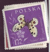 #1029-1040 Poland - Insects in Natural Colors (MNH)