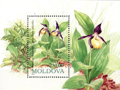 #104 Moldova - 1993 Flowers S/S (MNH)