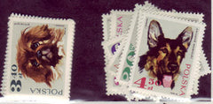 #1636-1643 Poland - Dogs in Natural Colors (MNH)