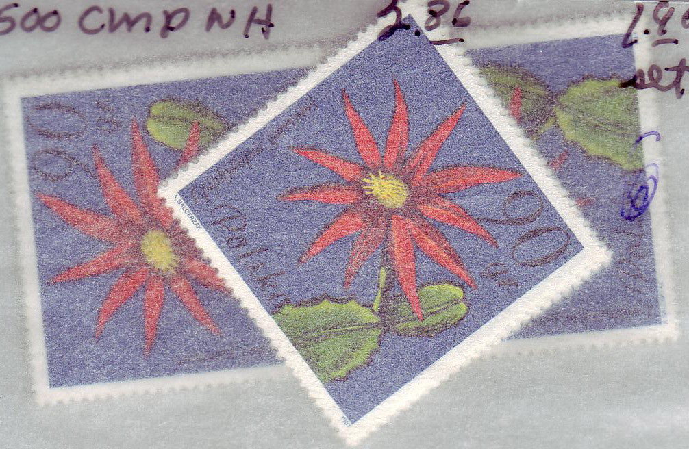 succulent postage stamps #2493-2500 Poland