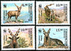 #64-67 Uzbekistan - World Wildlife Fund: Capra Falconeri (MNH)