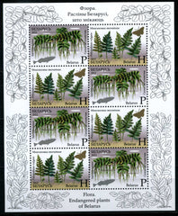 #825a Belarus - Endangered Plants S/S (MNH)