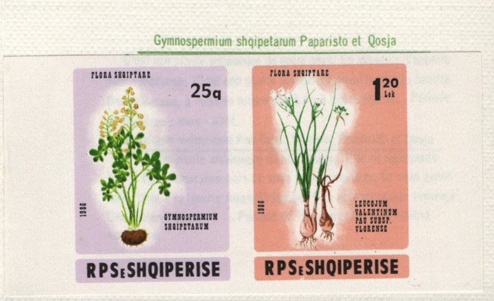 #2204a Albania - Flowers, Pair, Imperf. Complete Booklet (MNH)