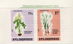 #2204a Albania - Flowers, Pair, Imperf. Complete Booklet (MNH)