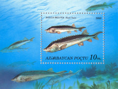 #392 Azerbaijan - Fish S/S (MNH)