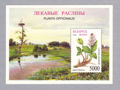 #172 Belarus - Medicinal Plants, Imperf. S/S (MNH)