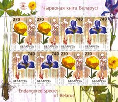 #471a Belarus - Endangered Flowers M/S (MNH)