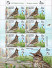 #1041 Belarus - Bird of the Year: Crested Lark M/S (MNH)