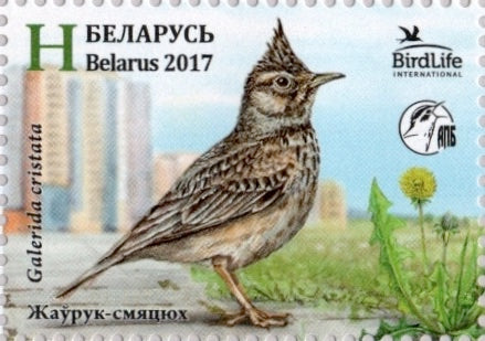 #1041 Belarus - Bird of the Year: Crested Lark, Single (MNH)