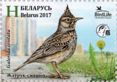 #1041 Belarus - Bird of the Year: Crested Lark, Single (MNH)