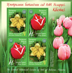 #1046a Belarus - Flowers of Central Botanical Garden S/S (MNH)