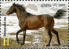 #1052 Belarus - Horses: Joint Issue with Kyrgyz., Set of 2 (MNH)