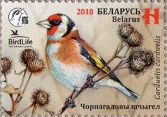 #1085 Belarus - Bird of the Year: European Goldfinch (MNH)