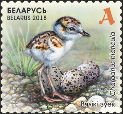 #1076a Belarus - 2018 Children's Philately: Chicks M/S (MNH)