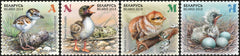 #1073-1076 Belarus - 2018 Children's Philately: Chicks, Set of 4 (MNH)