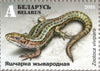 #1106-1108 Belarus - Reptiles: Lizards, Set of 3 (MNH)